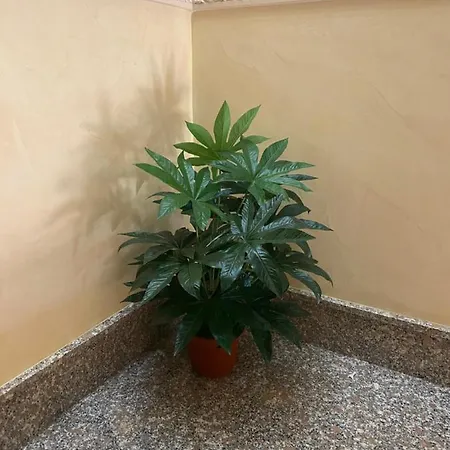 Don Bosco * Ravanusa